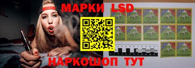 крисы Кулебаки