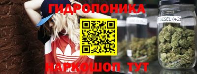 крисы Кулебаки