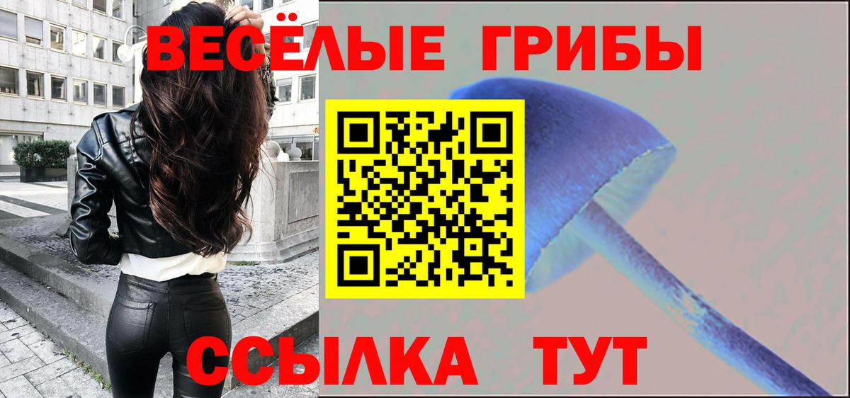 Галлюциногенные грибы MAGIC MUSHROOMS Дедовск