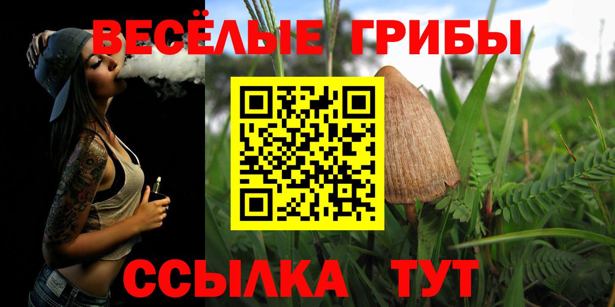 Дедовск  Галлюциногенные грибы прущие грибы  Вход с VPN 